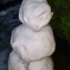 はるまついぶき 春まきほうれん草#1