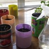 室内穴無しプランターでの水のやり方