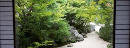 日本庭園に學ぶ栽培
