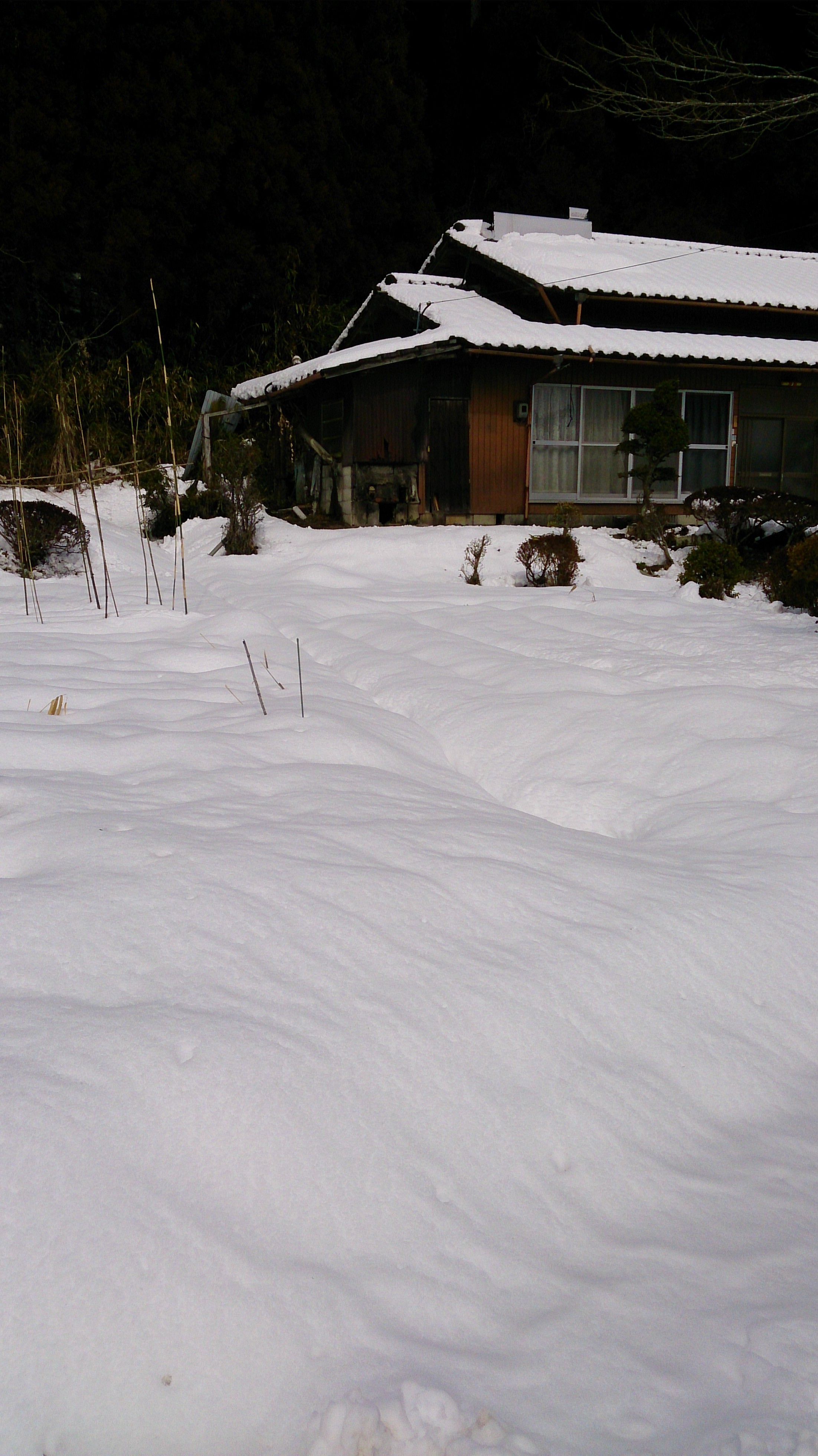 雪・雪・雪